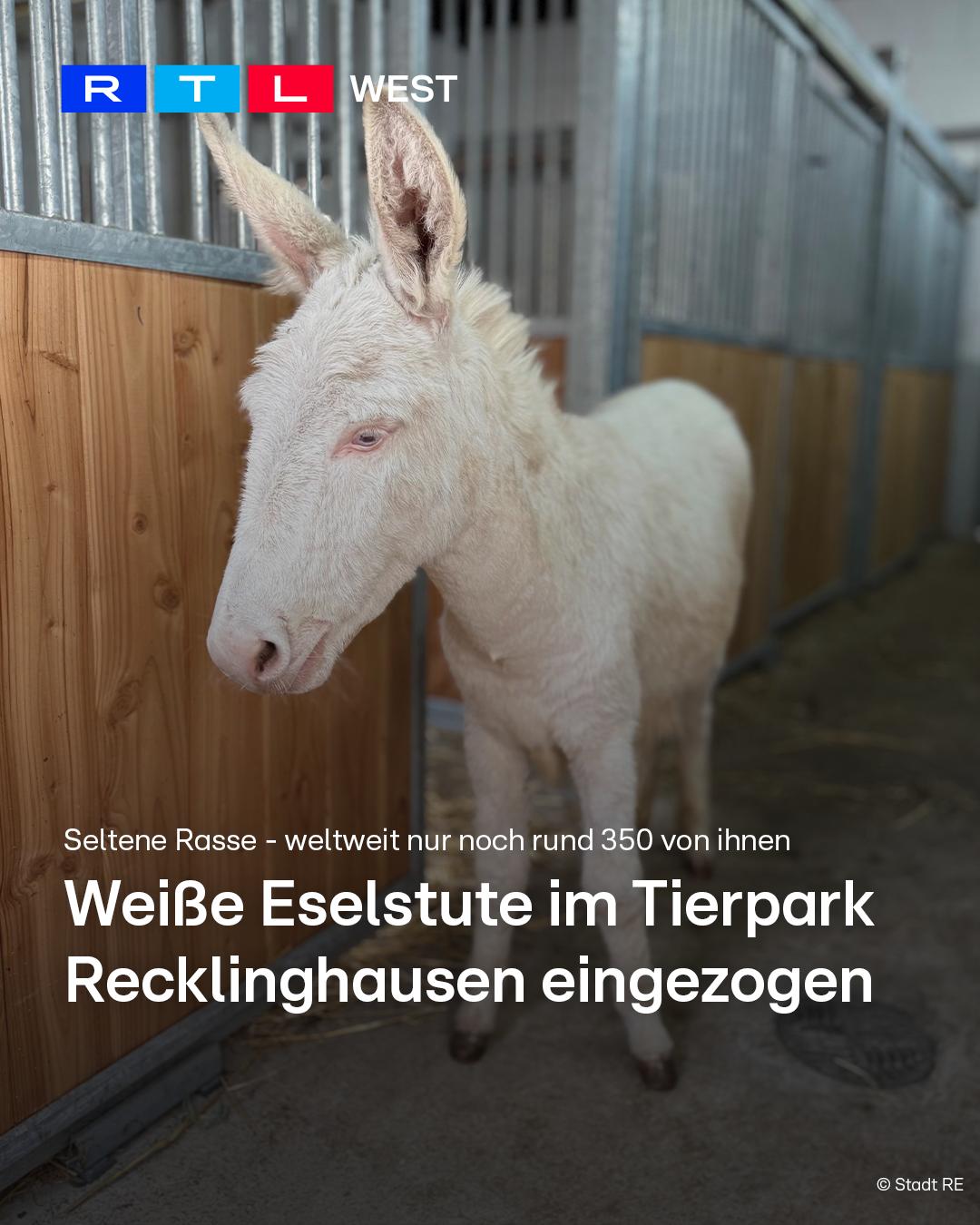 @RTLWest