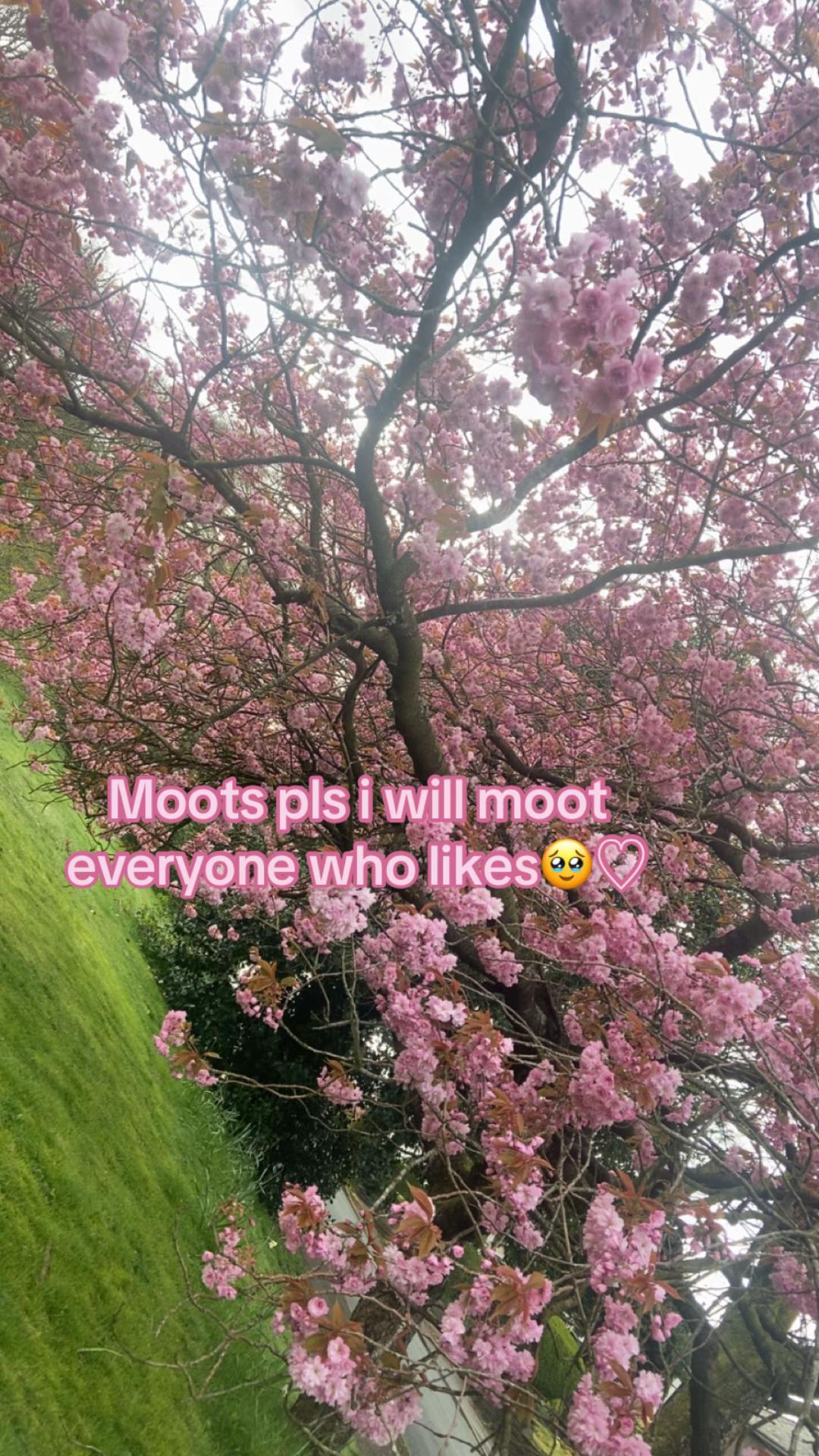 @𝓟𝓪𝓷𝓭𝓪_𝓪𝓭𝓸𝓹𝓽.𝓶𝓮<3🐼