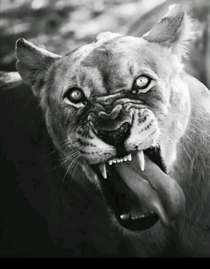 @تصفية حسابات