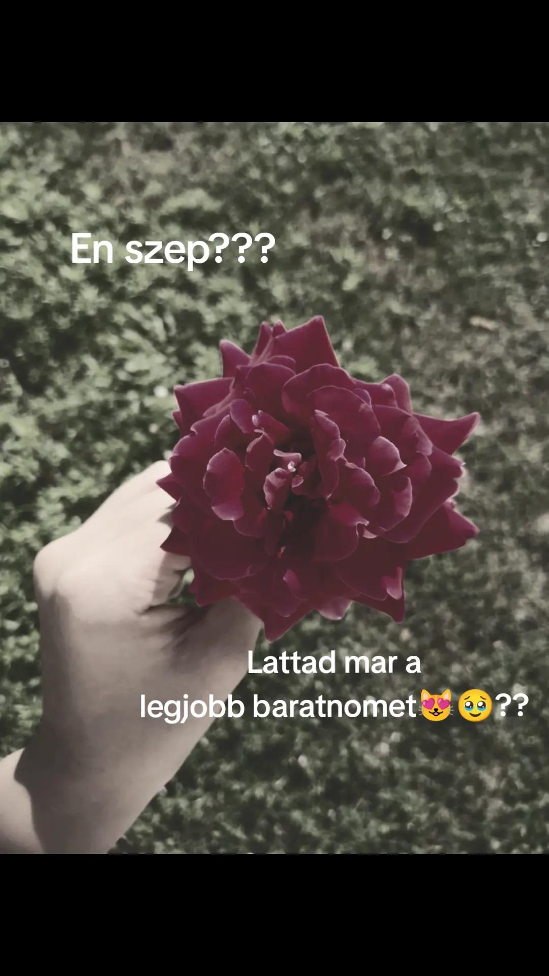 @😝🎀Majaa🎀😝