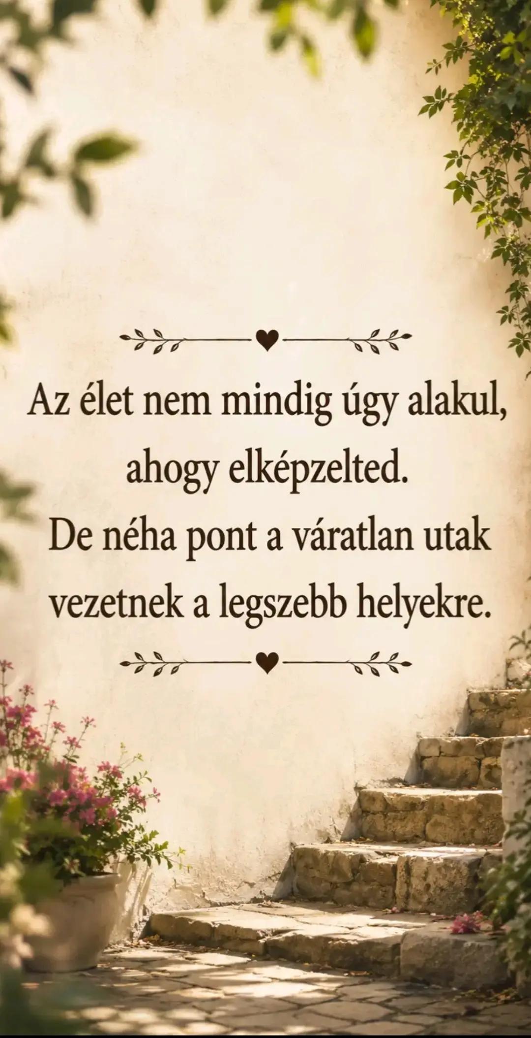 @Meнди