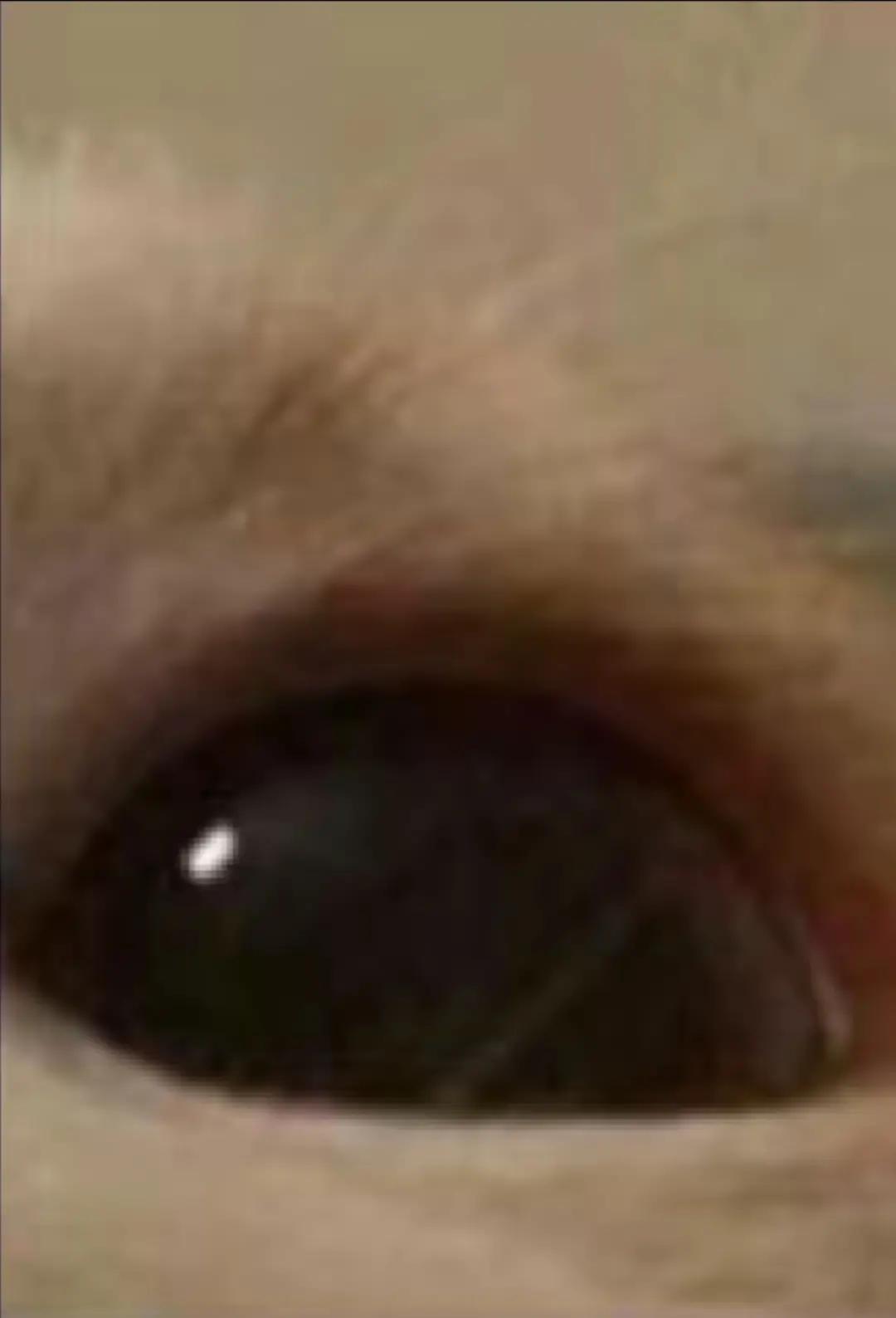 @ᯓxruii0ᯓ
