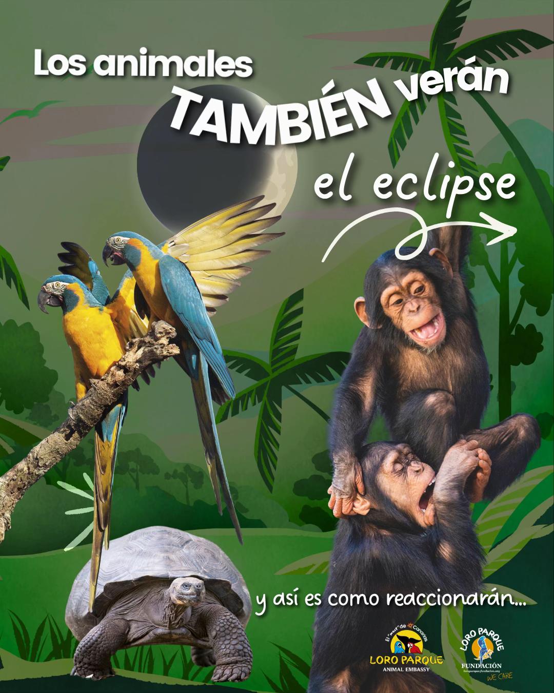 @Loro Parque