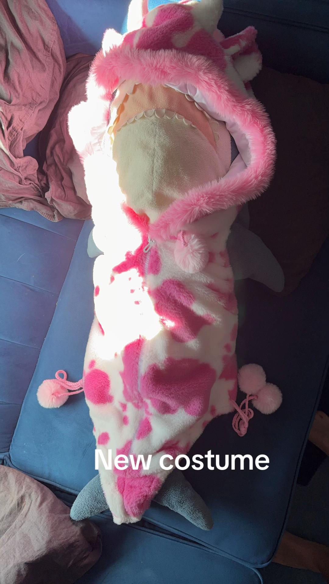 @zig_femboy