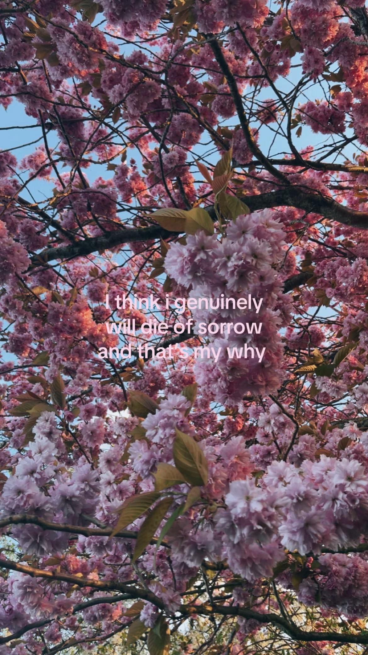 @e