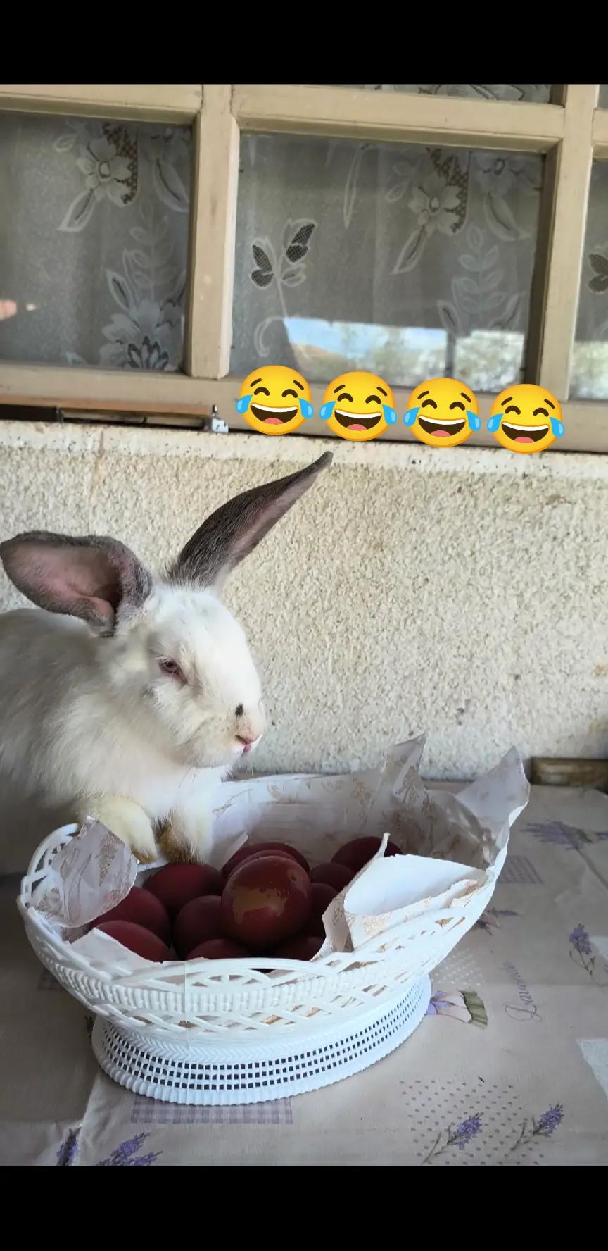 @SM26KRK