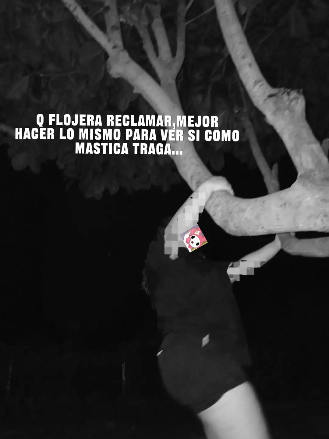 @Zulley Aranda