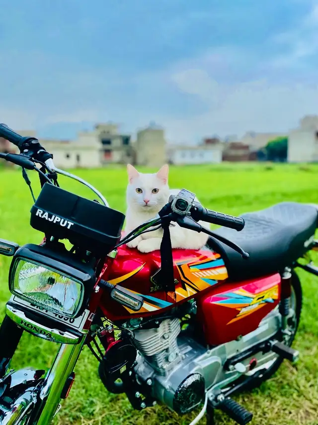 @Rajput_-_-_🖤💫