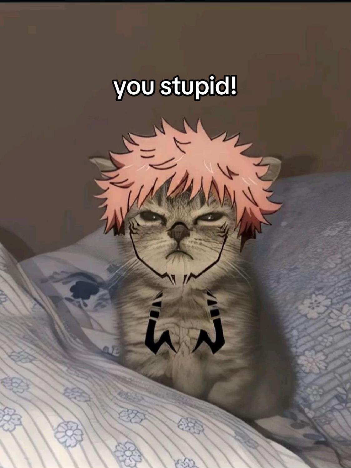 @zxmikeey