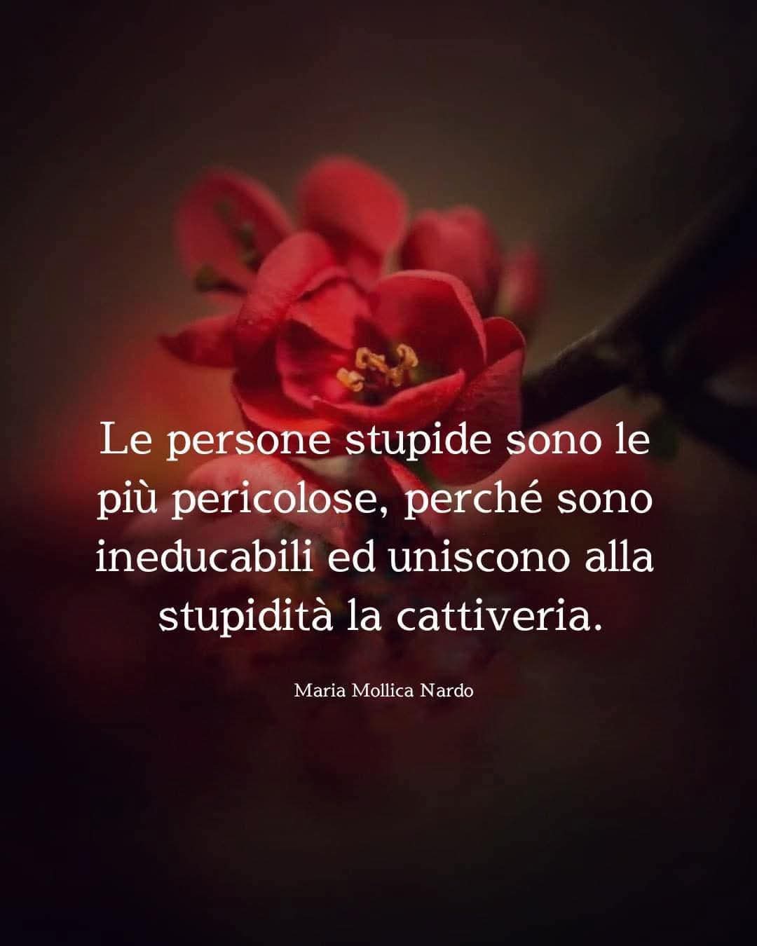 @Cristina