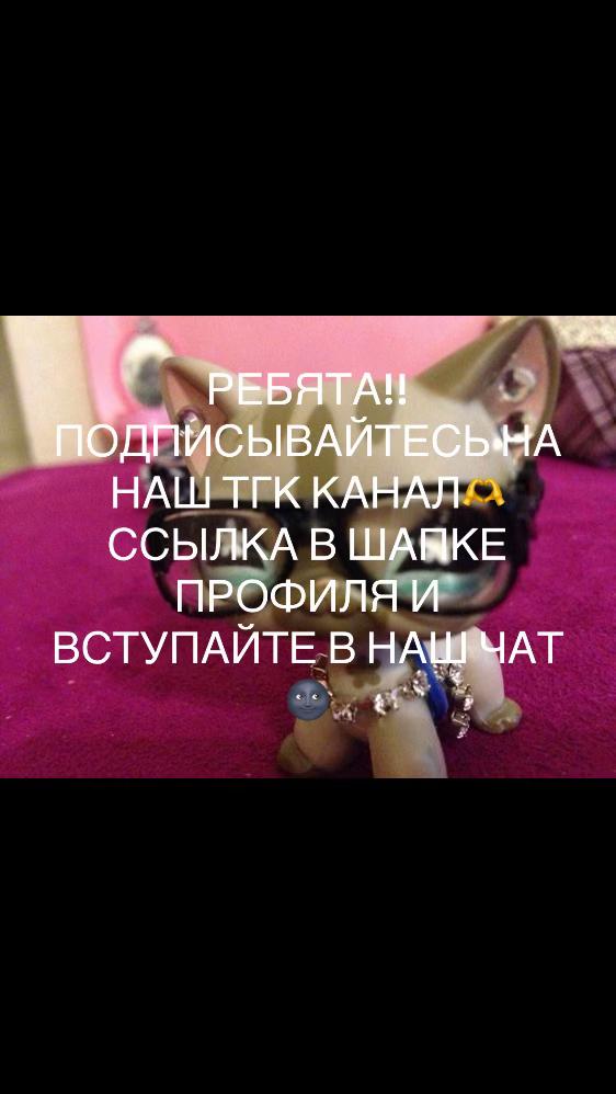 @лпс стоячка