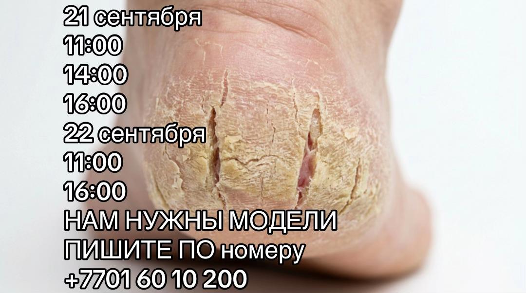 @Оксана Когай