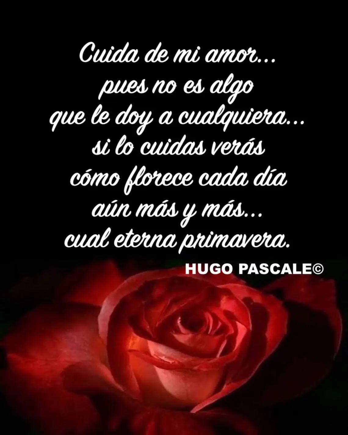 @LorenitaG