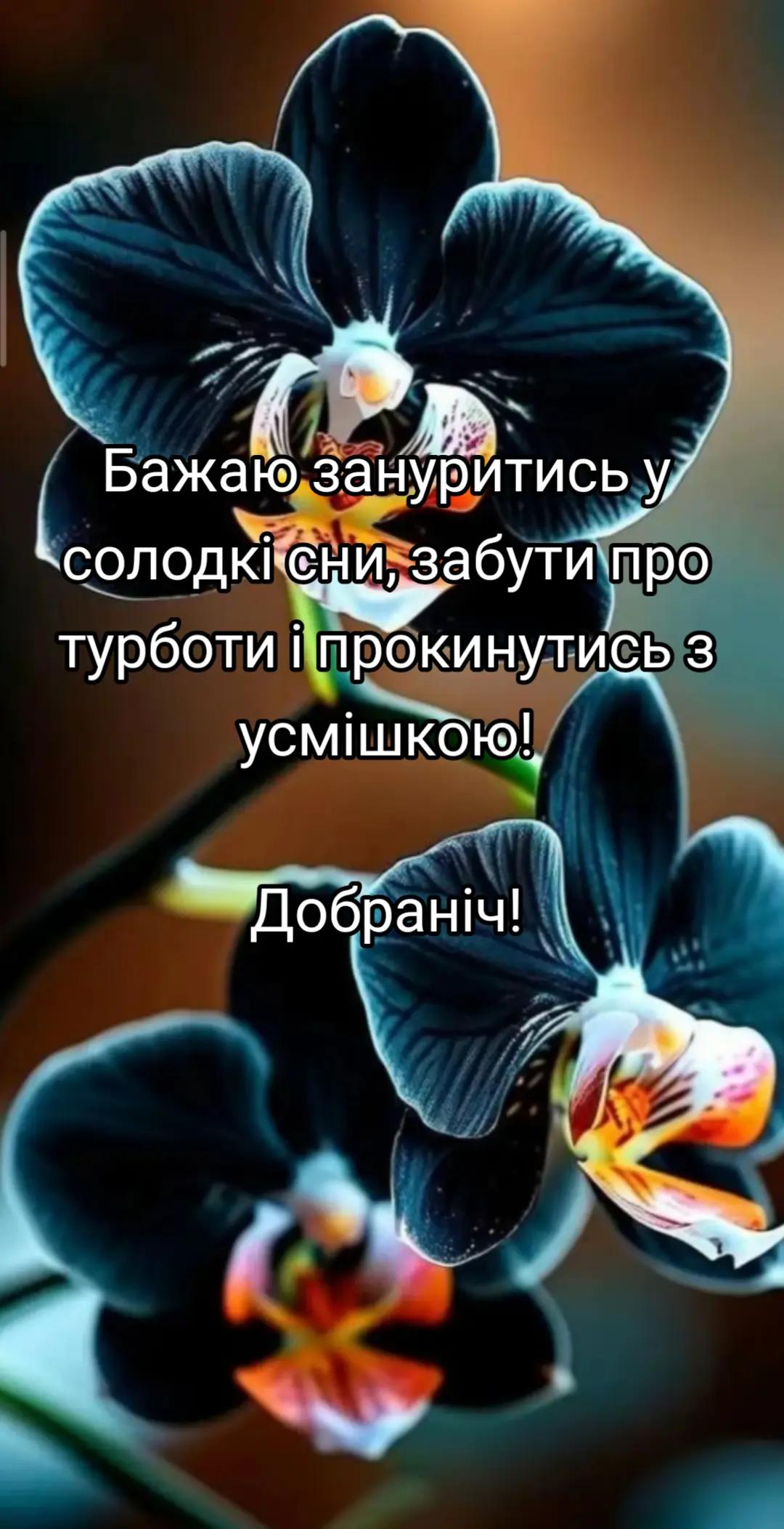 @Костянтин