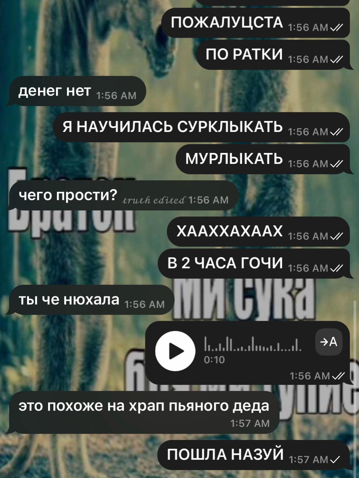@брунзя