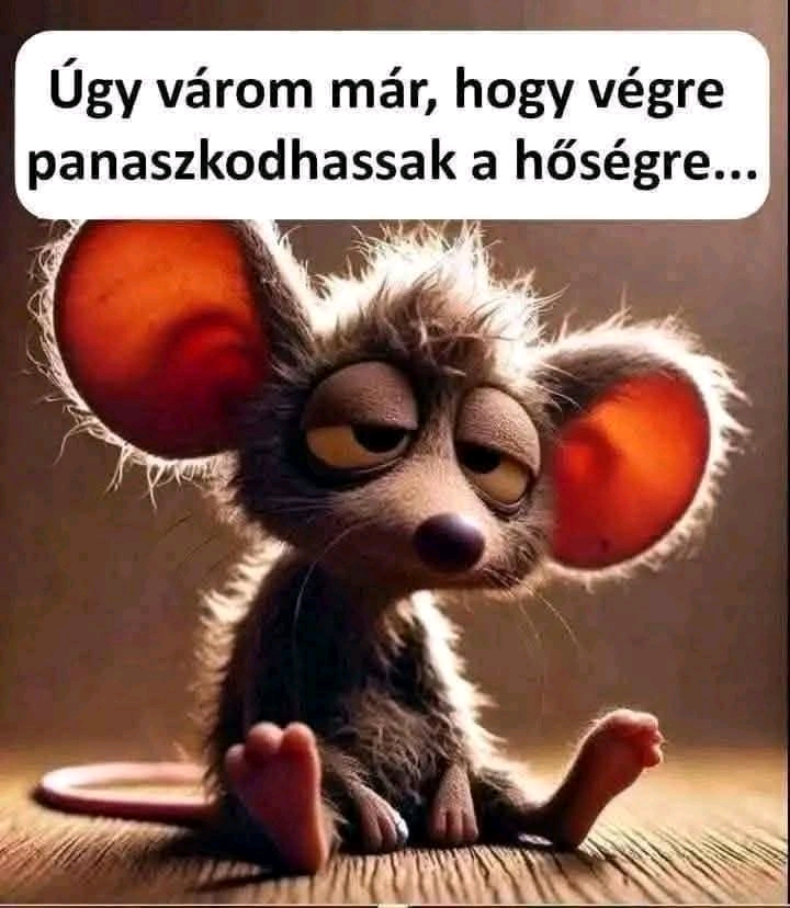 @Kócos