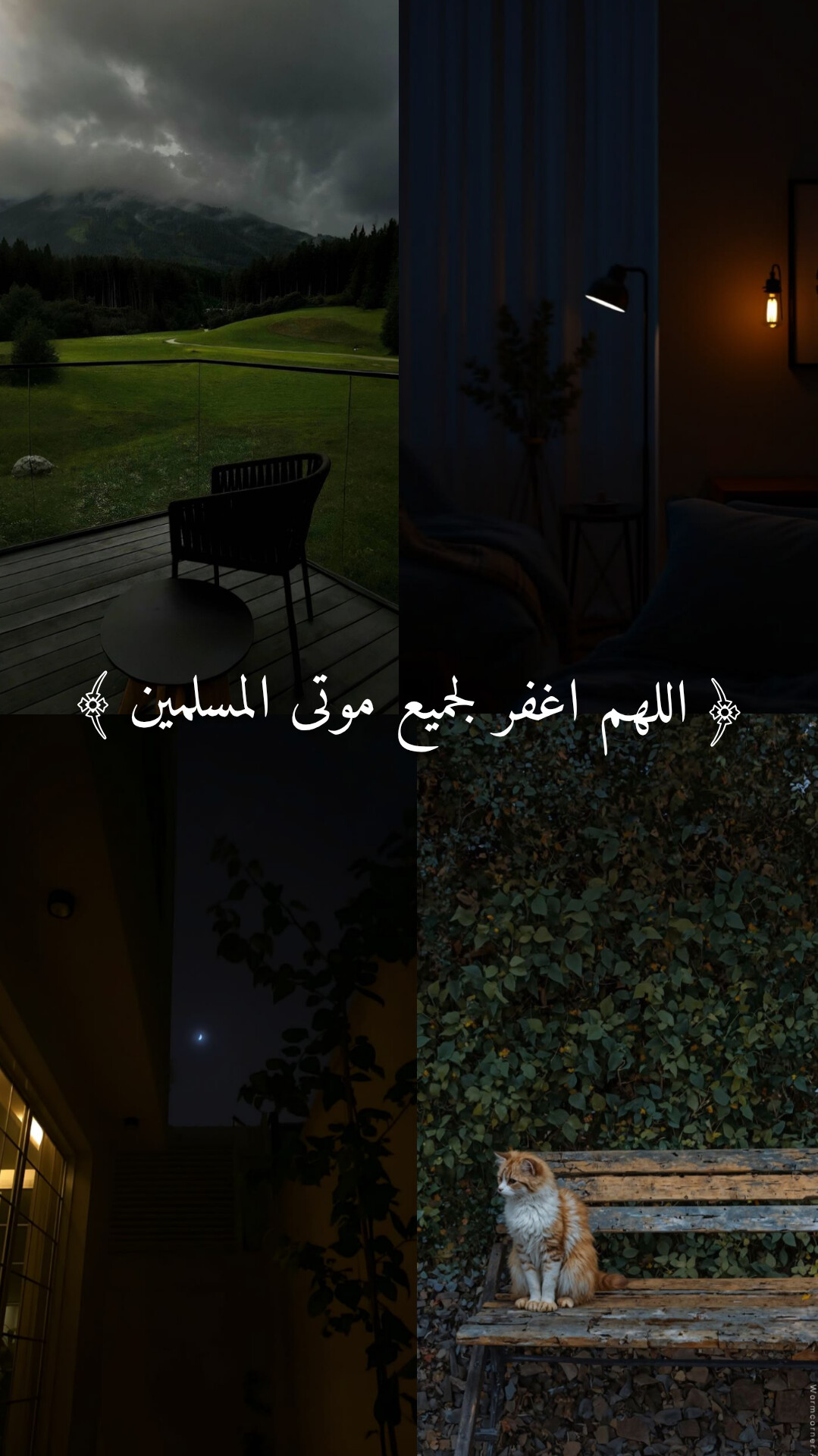 @راحة نفسية 🤍🎧 Quran