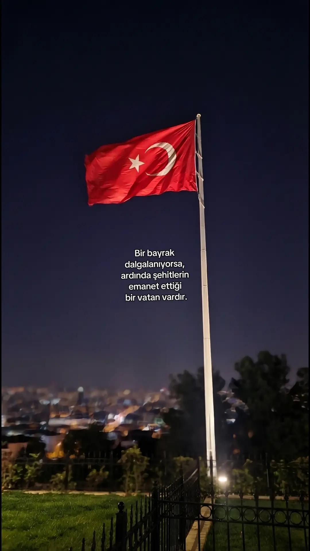 @merve ♪