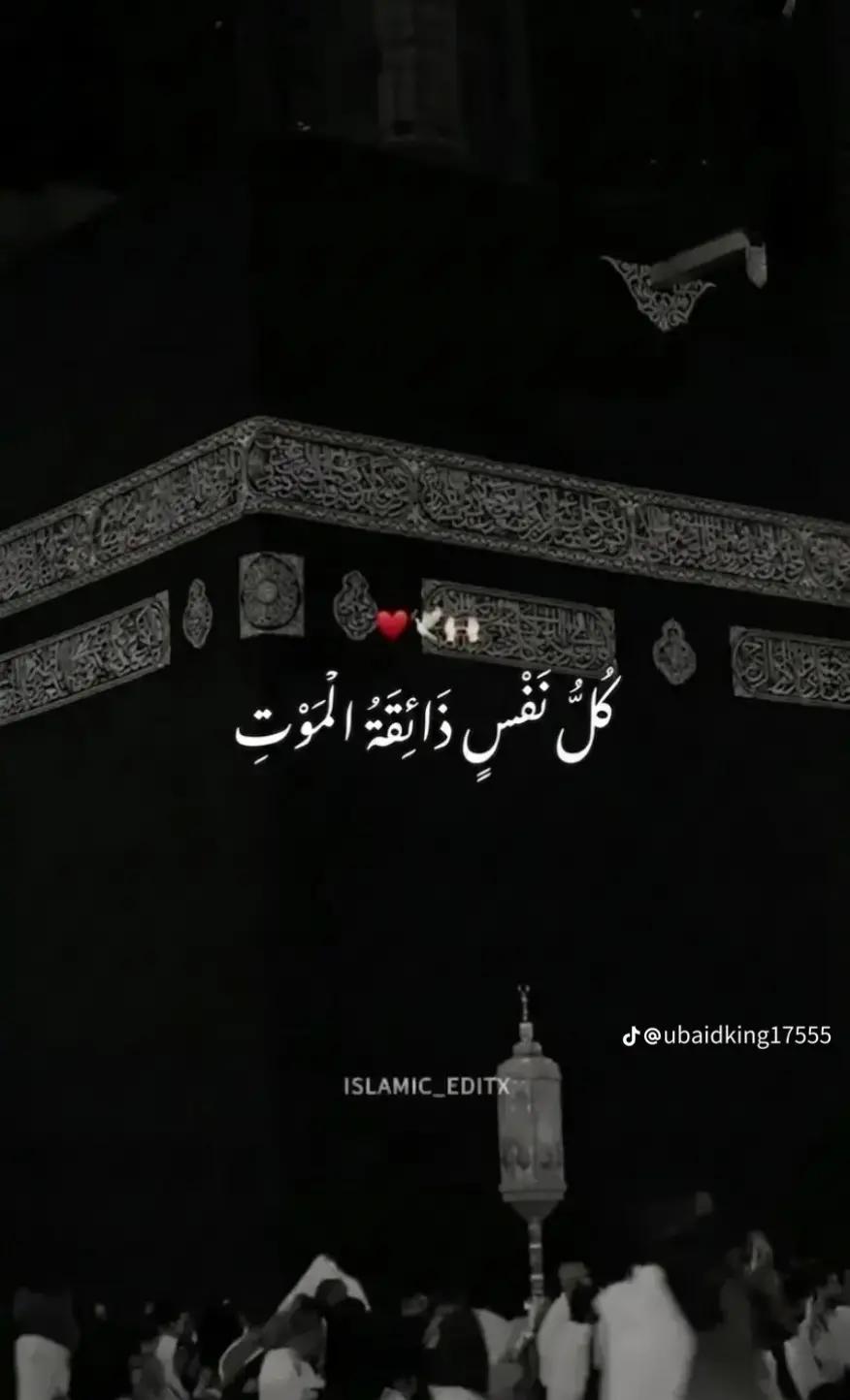 @HUMAIR. 46🐯🐯