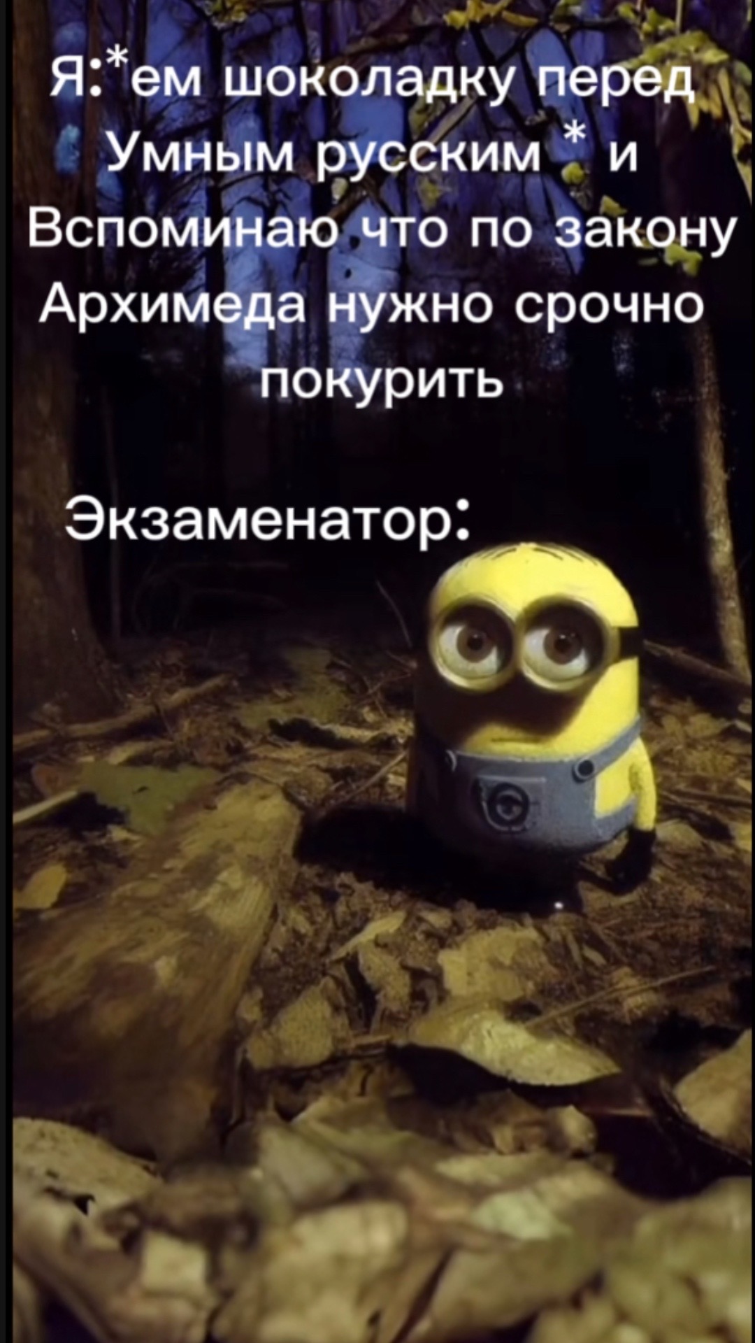 @Тгк:smaga195