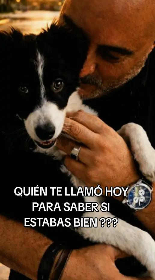 @EL TURCO
