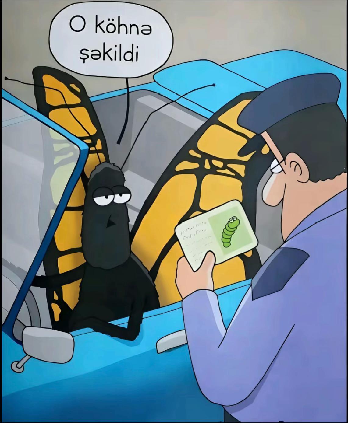 @ismayıl