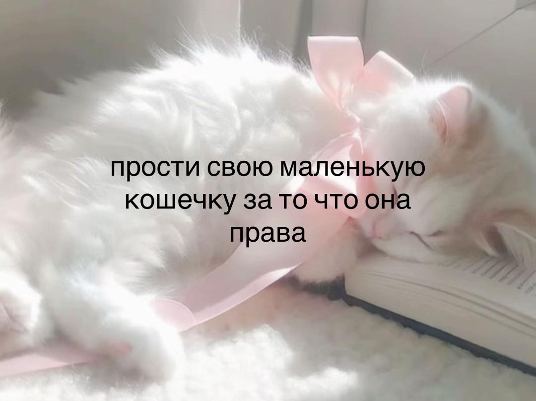 @тгк:aisurum