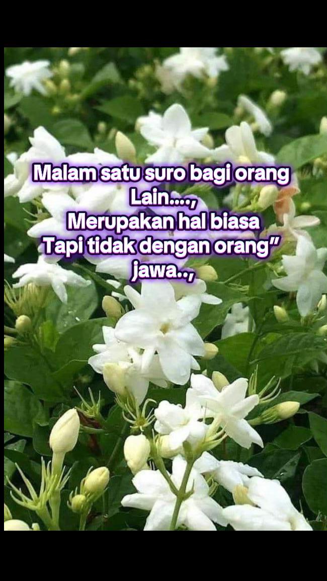 @Pepi 