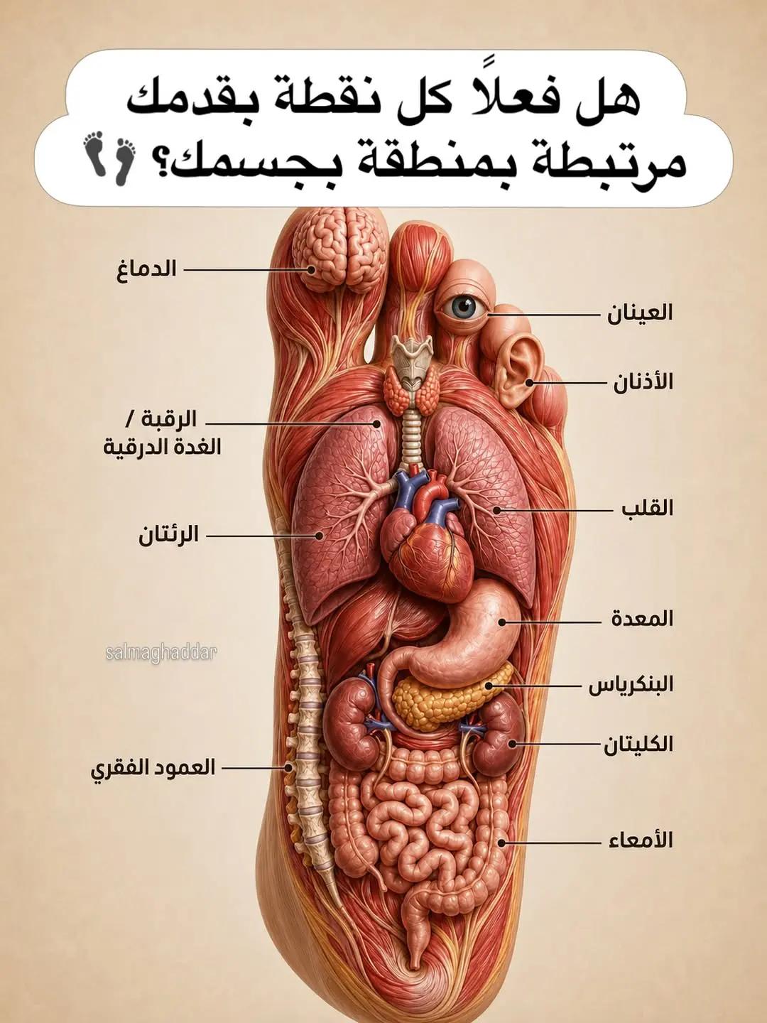 @عٌأّأّأّأشٍقِ أّلَعٌيِّوِوِوِن