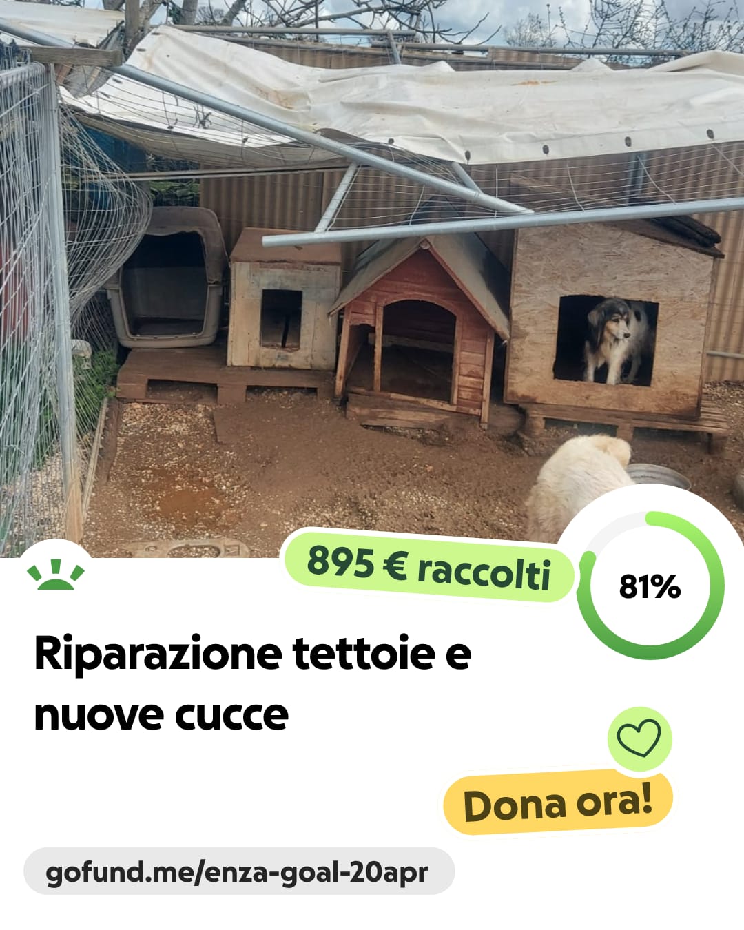 @SOS ADOZIONI4ZAMPE ONLUS