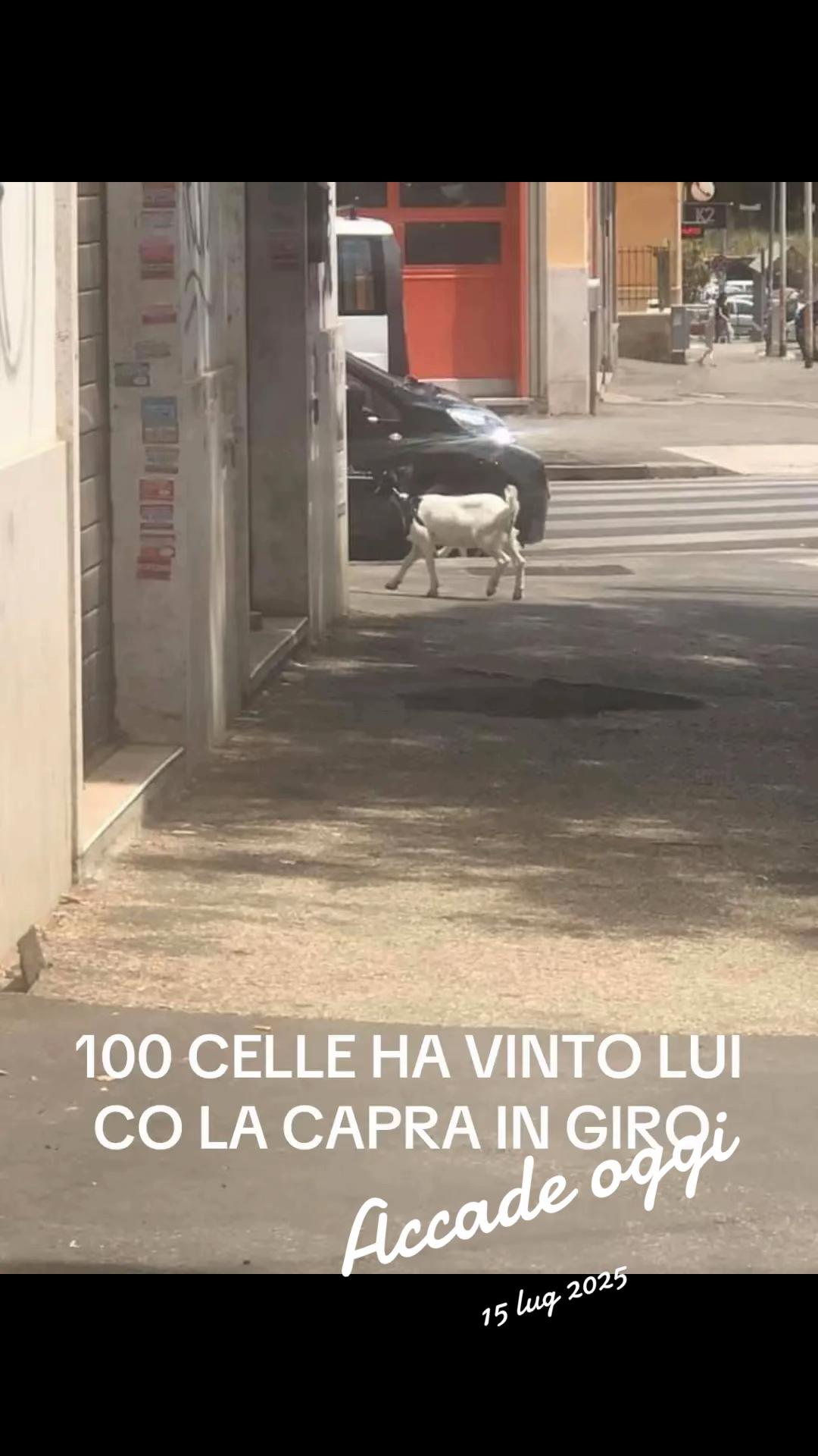 @ANTONIO_ROMA