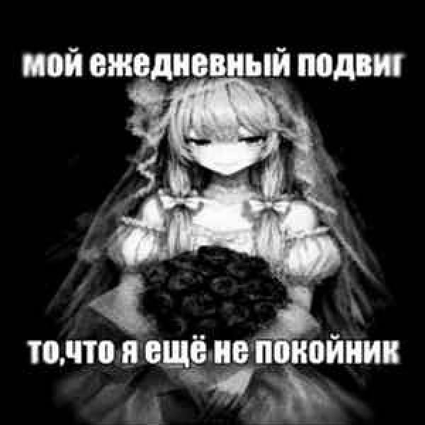 @rinoshka