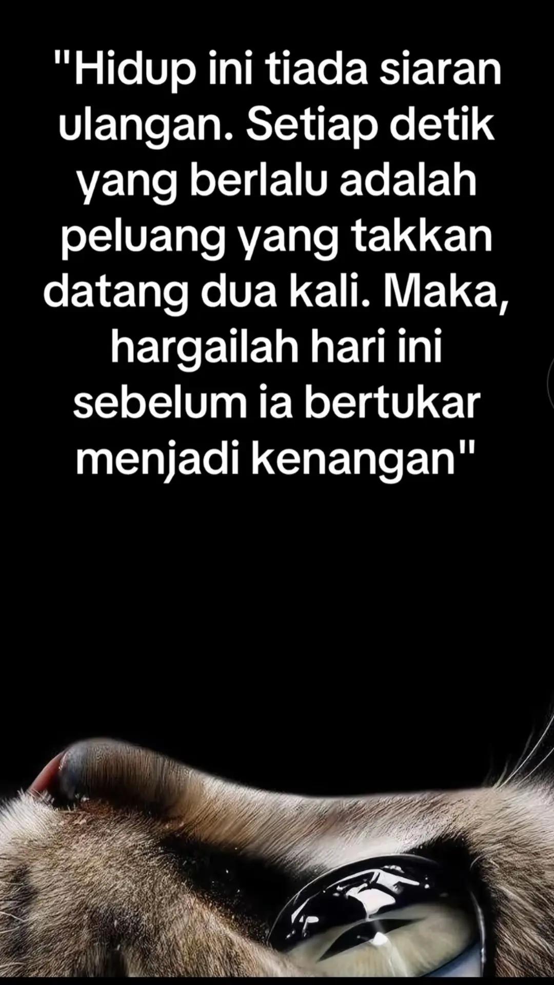 @🌹ina80🌹