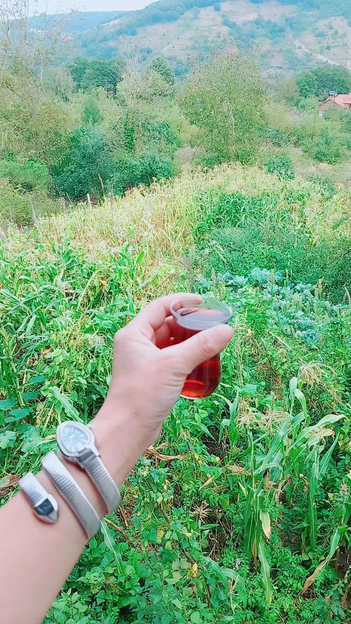 @🍃B🌼A🌼H🌼A🌼R🍂