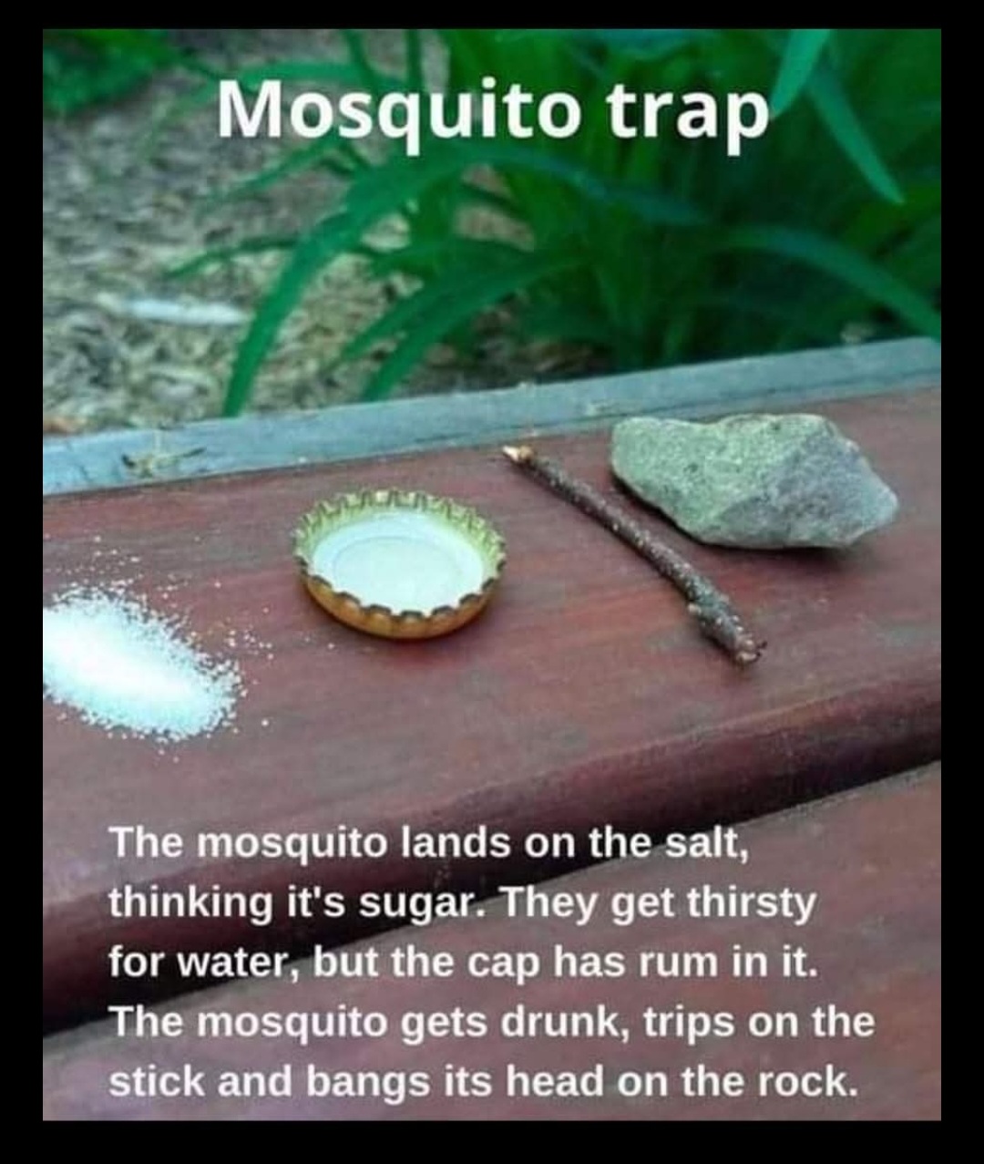 @Poo Patrol