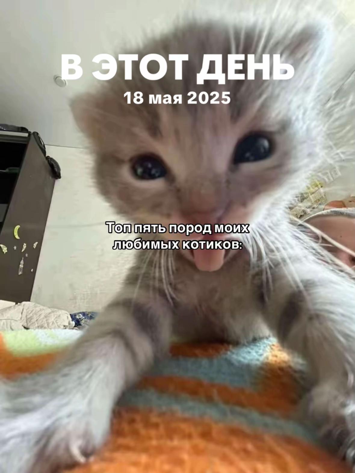 @Love_Timur🫀