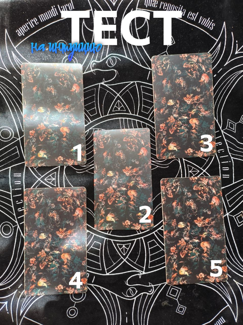 @ⲧⲁⲣⲟ ⲃыⲥɯ&upsilon;ⲭ 🪬