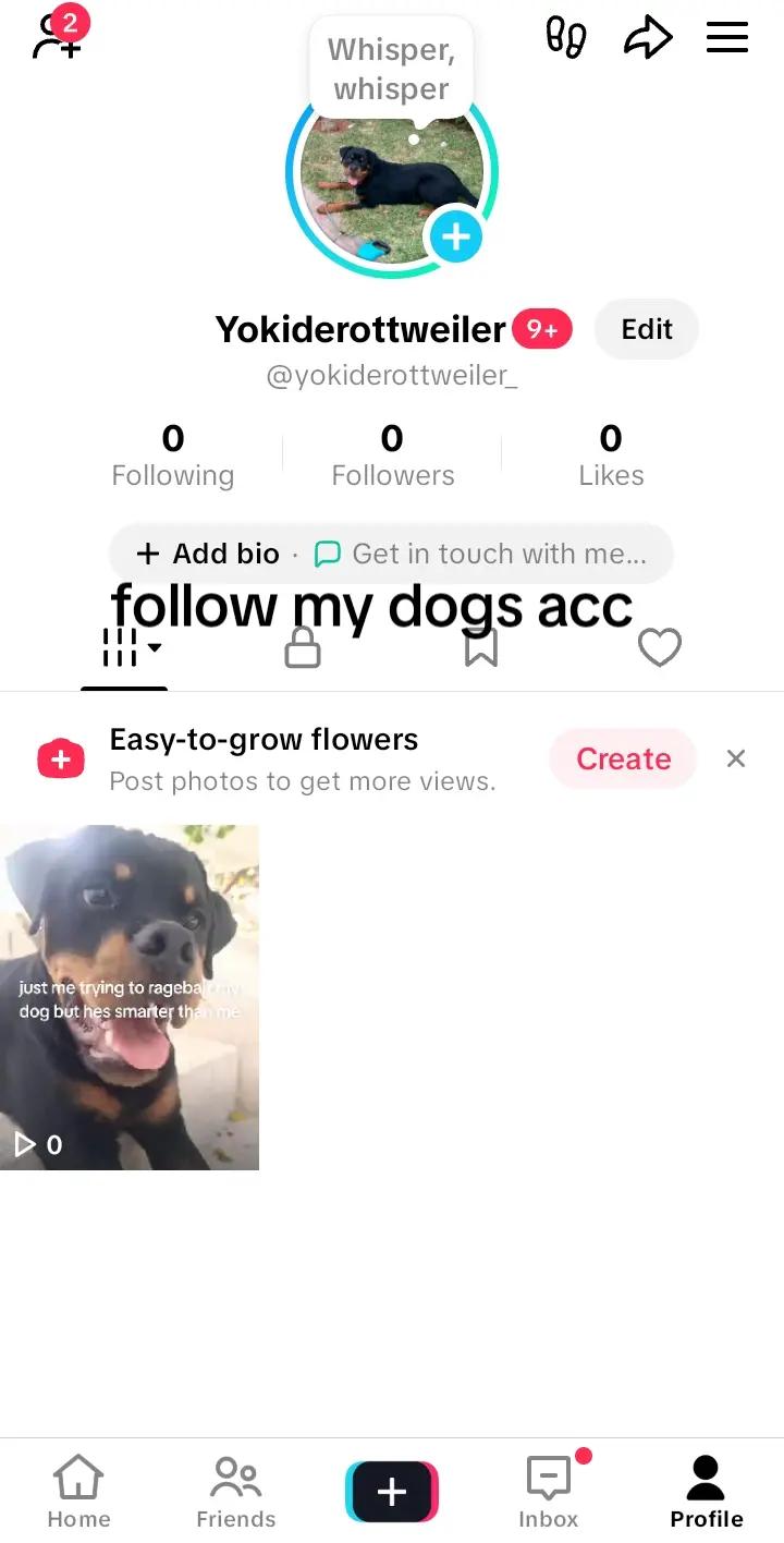 @DynamicLofi