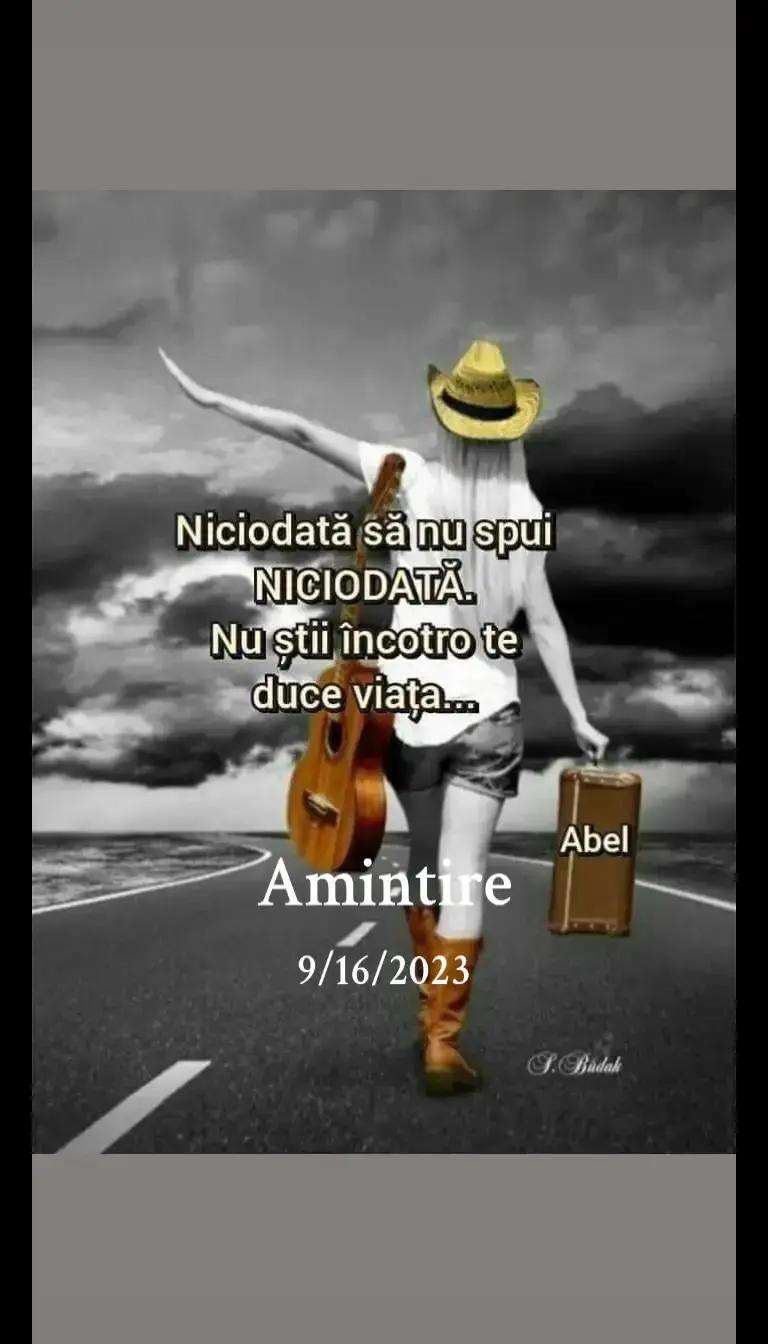 @user161856246384