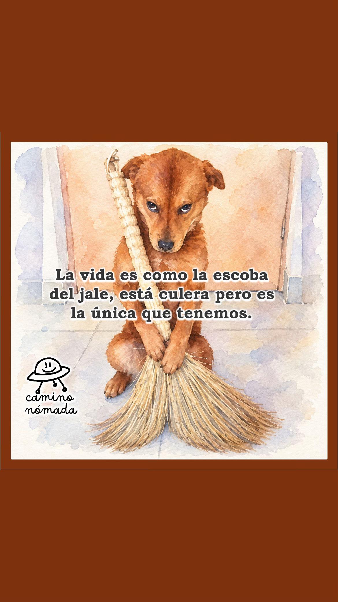 @Camino Nómada