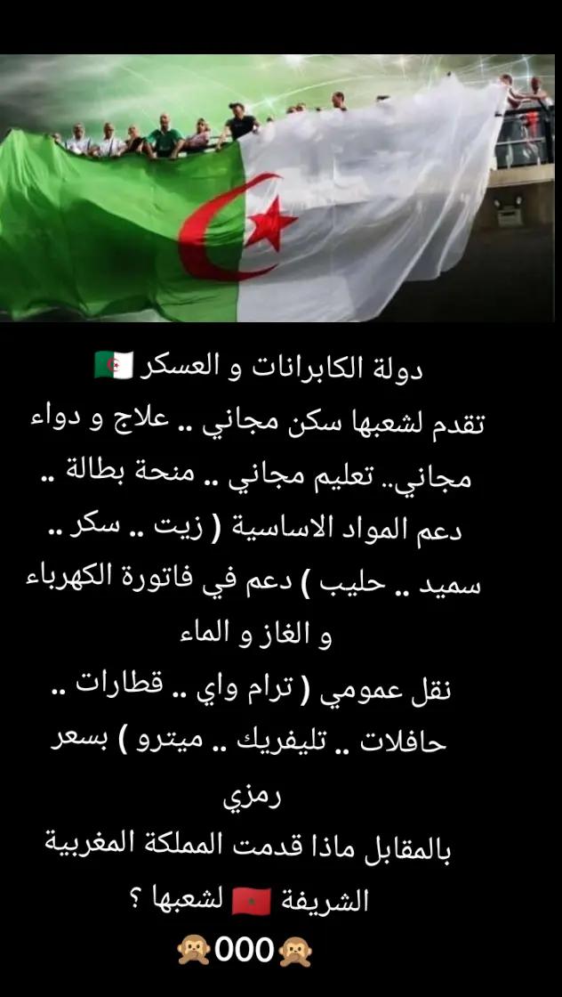 @domi🎲nos 🇩🇿