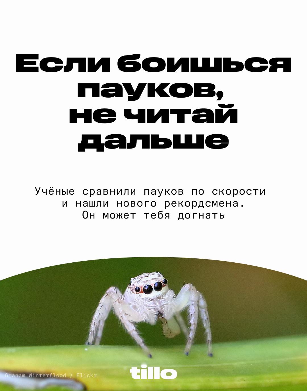 @Тилло Медиа