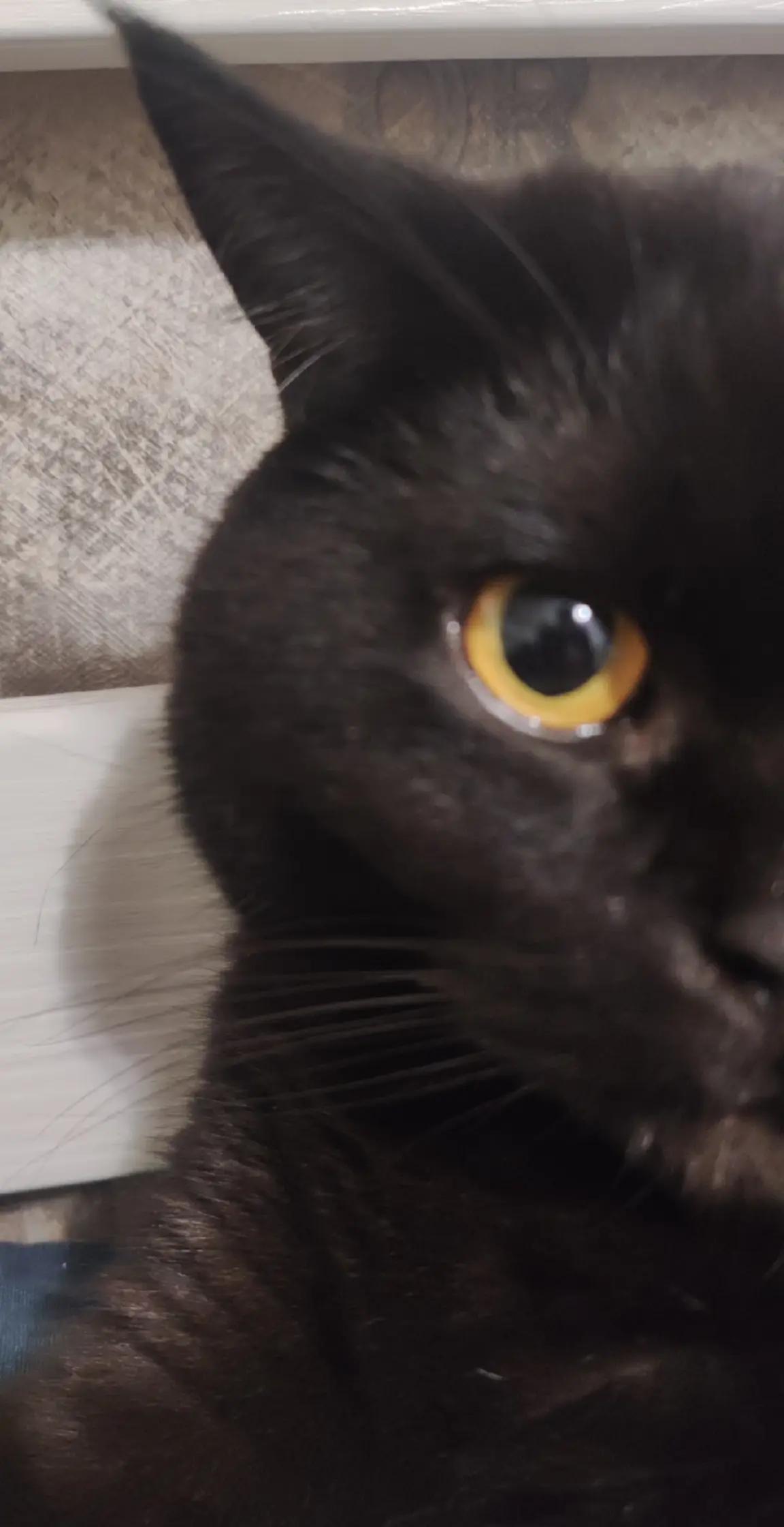 @KEKS1K