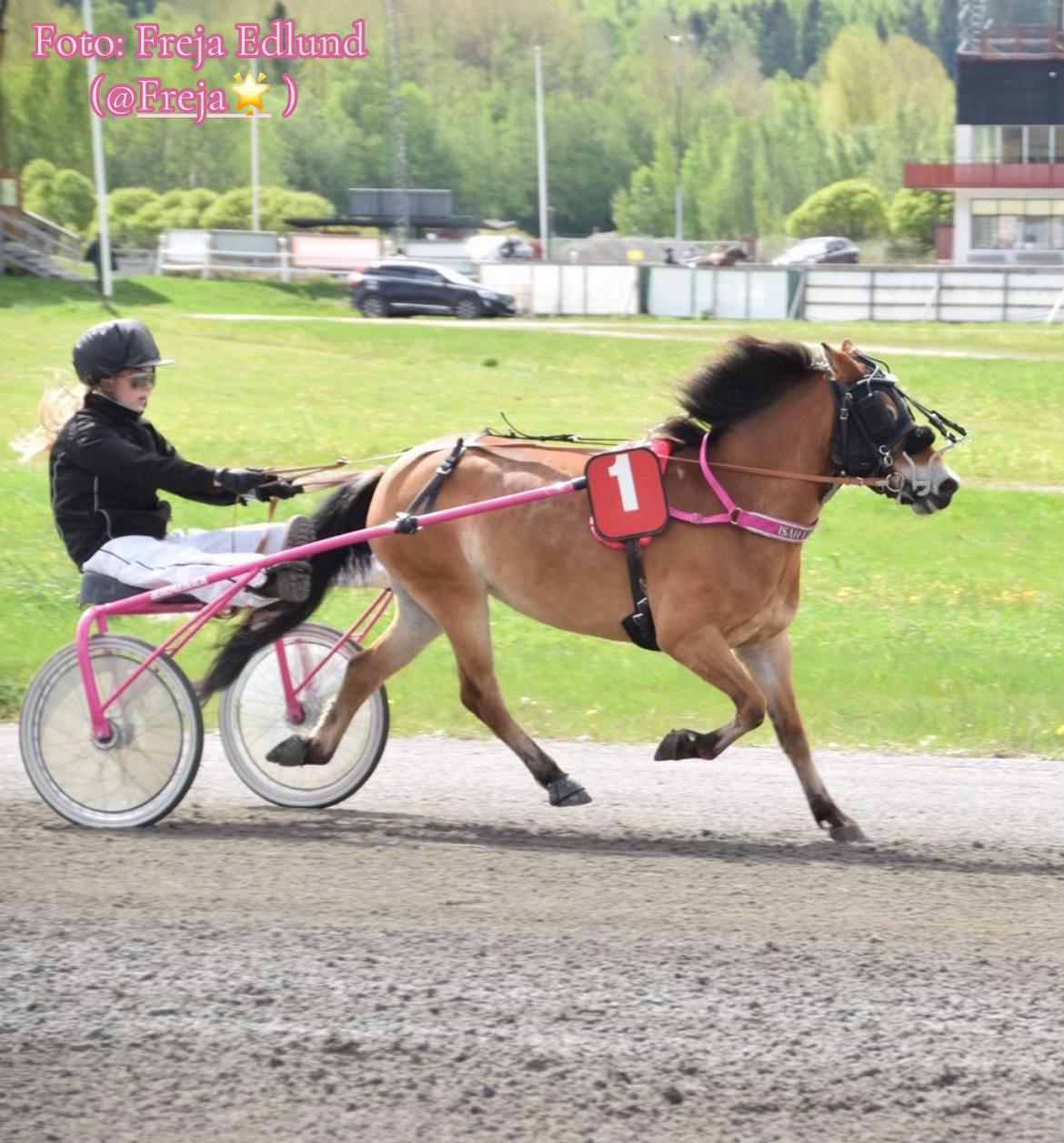 @ℐ𝓈𝒶𝒽 ℒ𝒾𝓃𝒹𝒷ℯ𝓇𝑔 🇸🇪