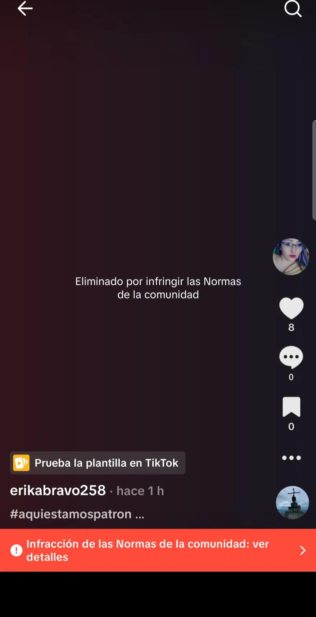 @erikabravo258