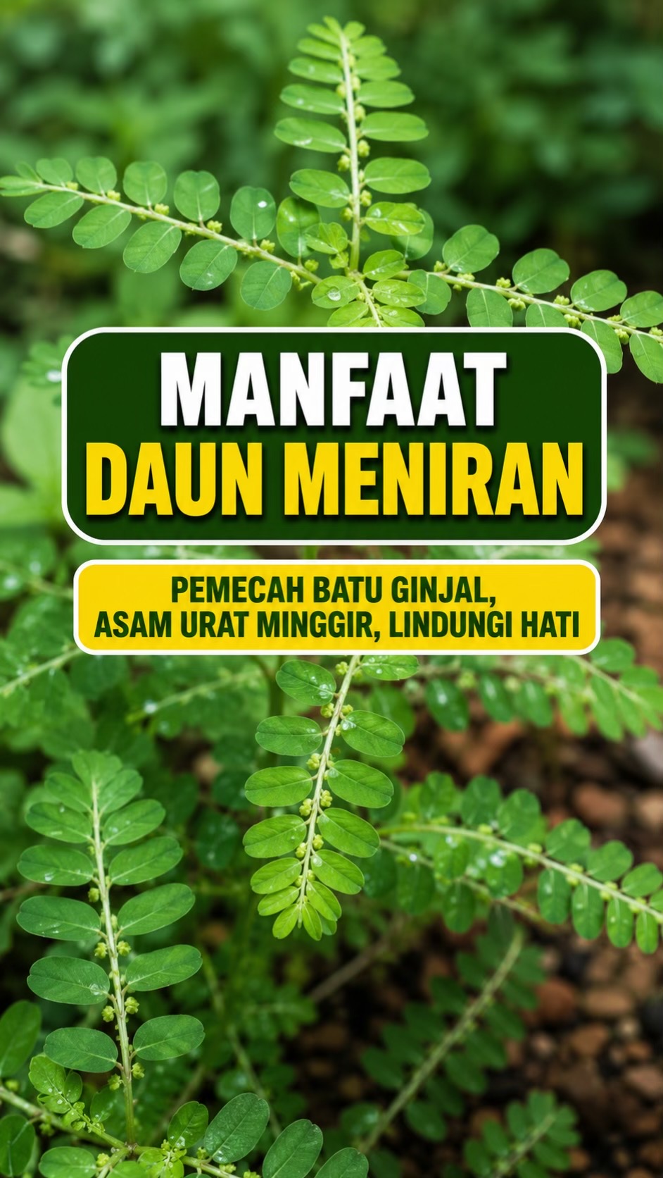 @SAHABAT SEHATMU