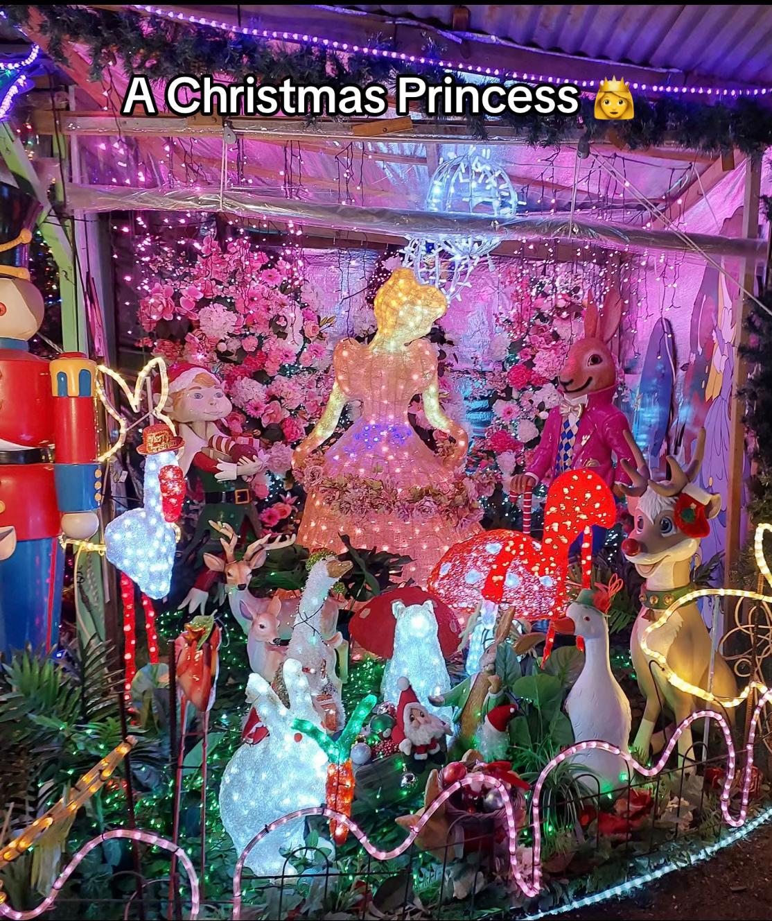 @๐โจ๐คถ Mrs Claus ๐คถโจ๐