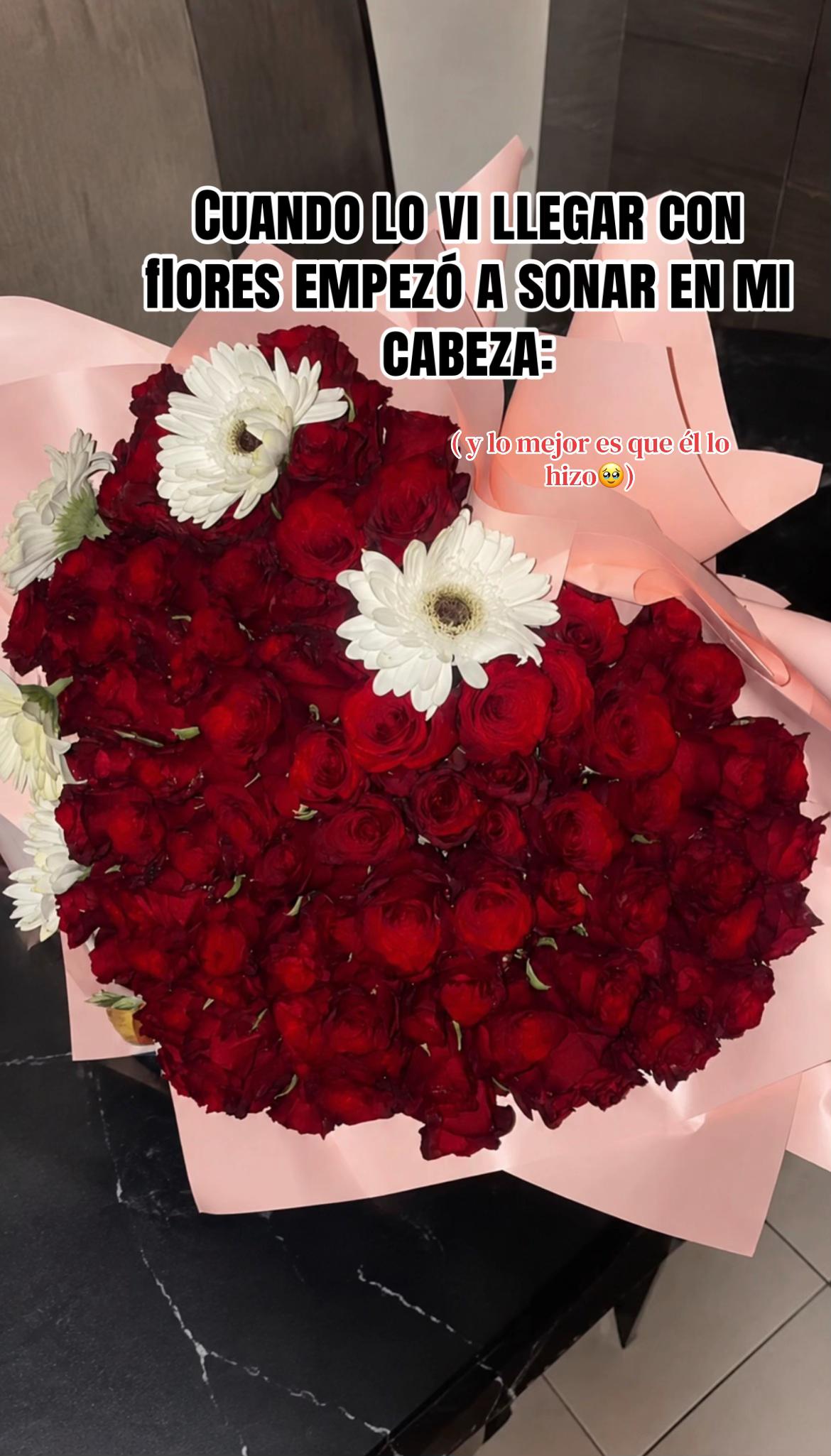 @𝐘𝐚𝐦𝐢🦥❤️