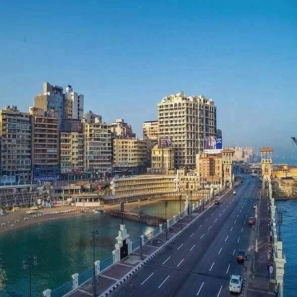 @القائد 👑عمرو السمان 👑