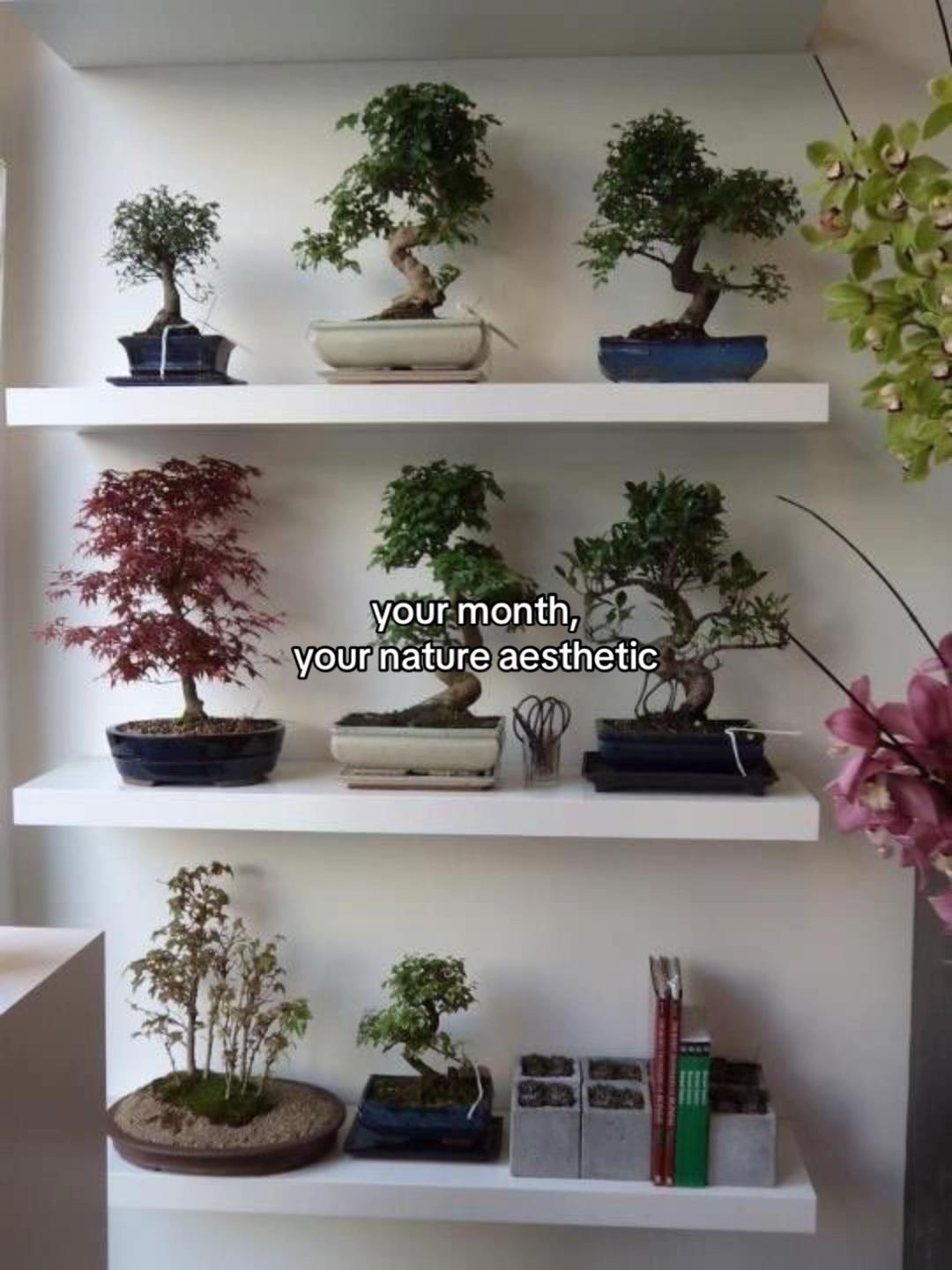 @春玉